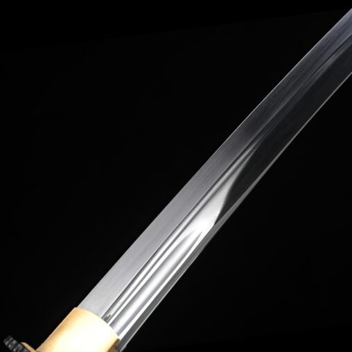 Dojo Pro 1060 Steel Tanto #1