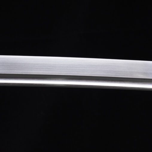 Modern Tactical Tanto Dagger – 5160 Spring Steel Blade