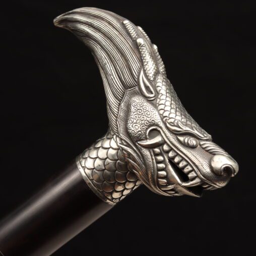 Dragon-Head Jian Cane Sword with Ornate Carvings