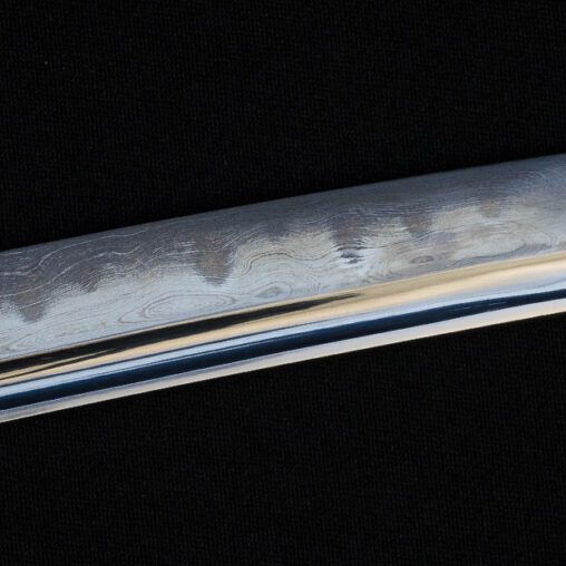 Dragonfly Folded Steel Katana