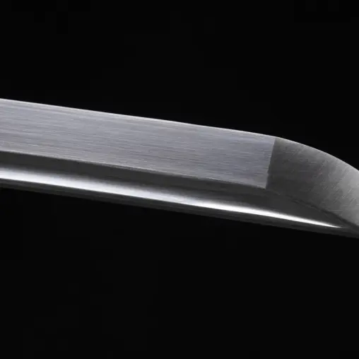 Modern Tactical Wakizashi Sword – 5160 Spring Steel Blade